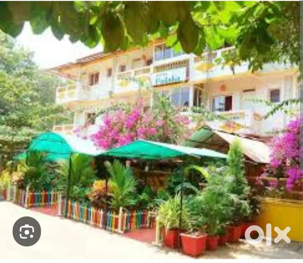 Front office receptionist girl & House keeping boys urgently wanted