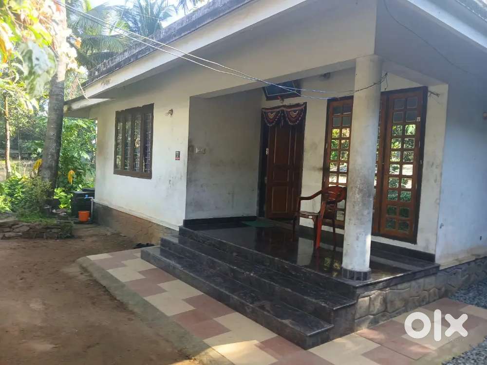 House and 11 cent plot for sale