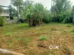 10 cents residential plot for sale at Thrikkakara.