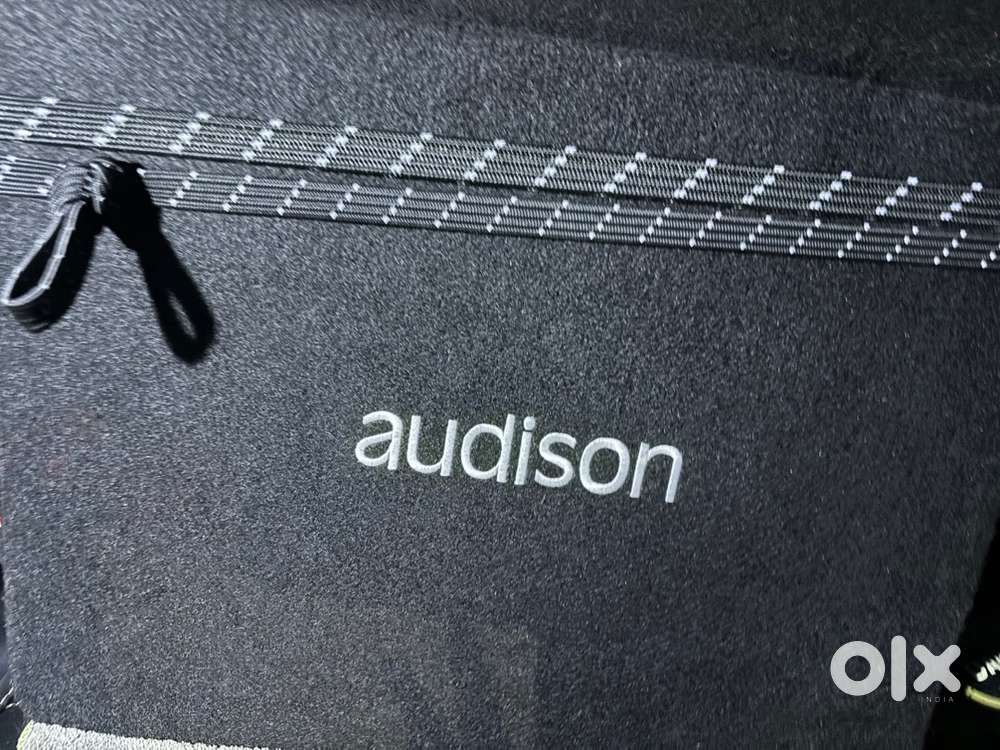 Audison active subwoofer