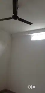 Hurry Up! Rent for Bachelors