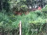 5 Cent Residential Plot for Sale in Perinthalmanna