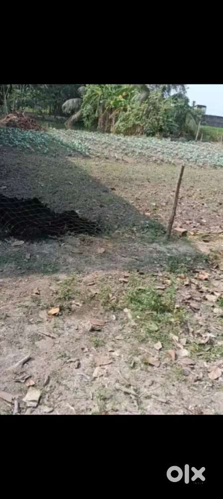 রাস্তার ধারে 5 কাঠা জায়গা total 600000 টাকায়