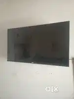 All original 1 year warranty v hegi a