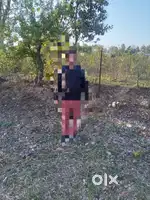 80 Gaz plot for sale in Plulshani