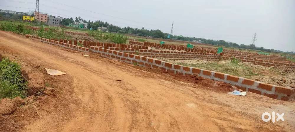 Plot near aiims sizua patrapada chotraypur mauza