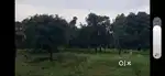 Farm House Land is for sale