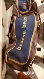 Cricket gears