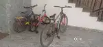 bicycles for sale in gud condition in best price
