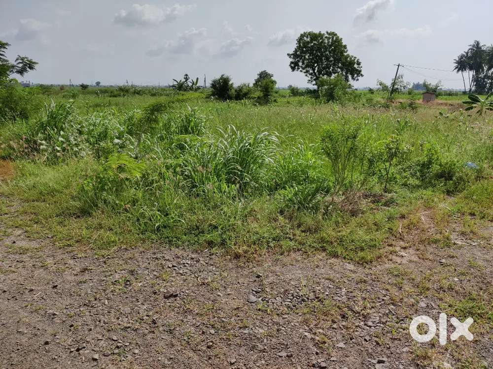 11500/- per square yard