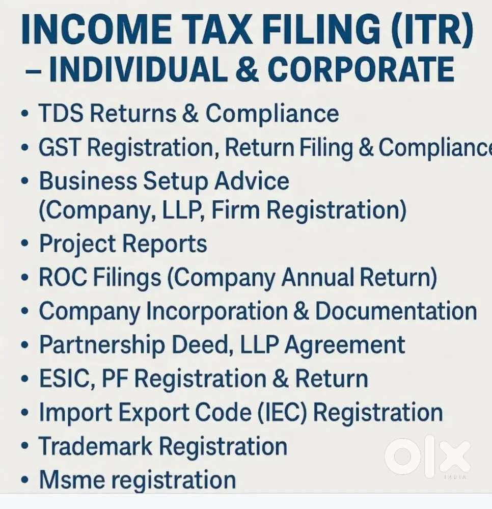 Income tax Consultant