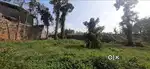 60 cent rectangular plot in thodupuzha city