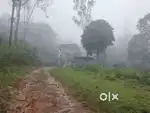 Need full time cook for homestay in Valparai