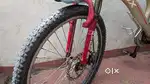 Unifox German Imported Cycle