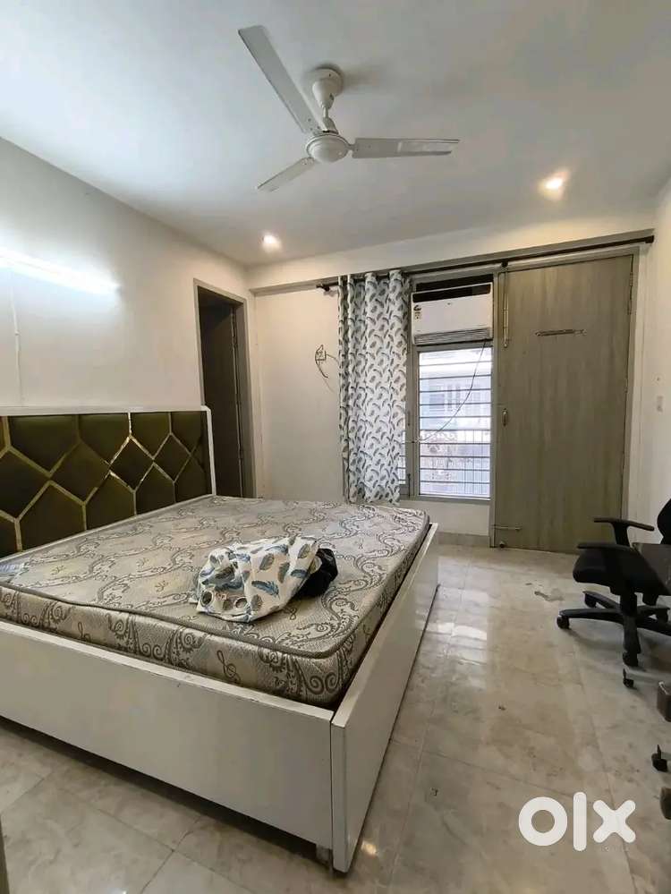 High-End PG NEAR PAYTM, ZOMATO, BCG OFFICE SEC- 47 GURGAON