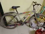 Streethawk Man bicycle in sliver colour