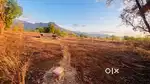 1 acre land and poultry farm on rent