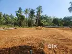 Residencial Land 7, 7.90 cent Aryampadam Thrissur