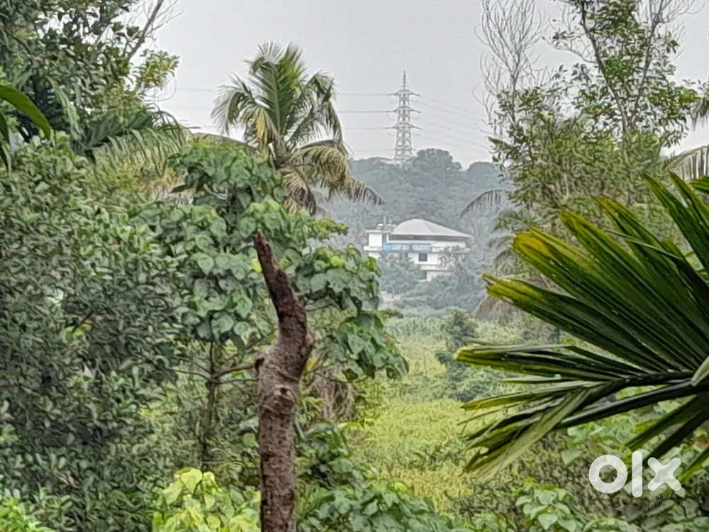 Kakkanadu thuthiyoor 2ACER 80cent purayidam land for sale