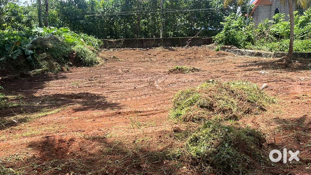 22 cent Land in Mamen Mathai Nagar, semi commercial land