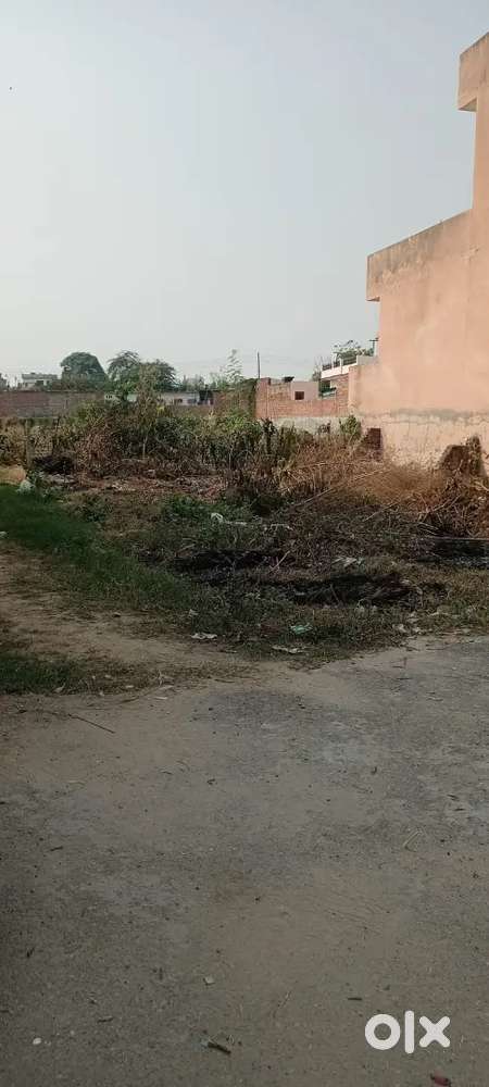 197 yard Plot For Urgent Sale near New Friends Enclave