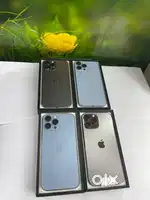 Apple iPhone 13 Pro Max Out Of Coverage Battery Health 84% & Above