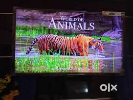 Haier Led TV