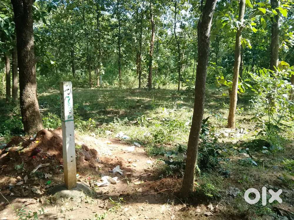 Gpr రాజరాజేశ్వరి గార్డెన్స్ వెలుగుబంద