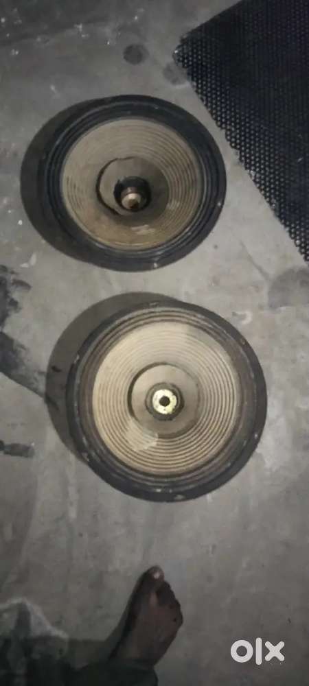 Dj  speaker 12 inch DJ wale  400what. 155  magnet