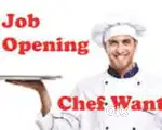 Need fast food and telugu snacks chef in anantapur