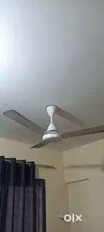 Selling 2 celing fan