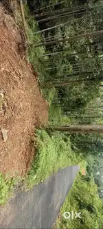 House and plot