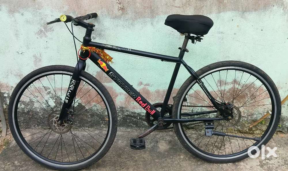 TATA  STRYDER  HYBRID CYCLE