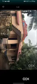 Land for sale ... 11 cent plot area in pathiripala town