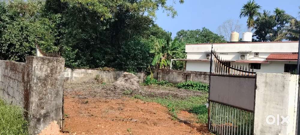 ചേർത്തല മനോരമ കവല600 മീറ്റർ4 ലക്ഷം സെന്റിന് ചോദ്യം