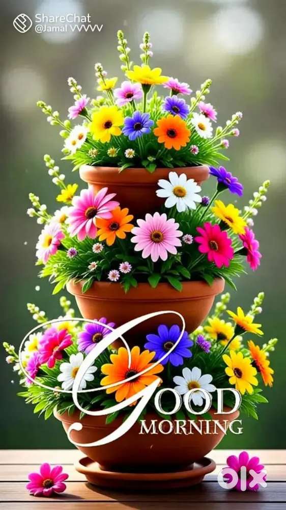 Plot ke samane 20 fit road near school kranti chouk deepak