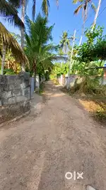 Small House Plot for Sale (Corporation)Pappanamcode Karakkamandapam