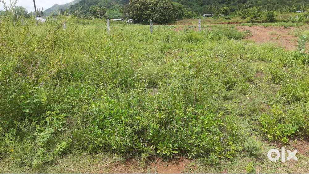 595 Sq.Ft corner plot sale in Ammayappa Nagar, Uthamasolapuram, Salem