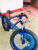 Fat bike 21 gear dual disk