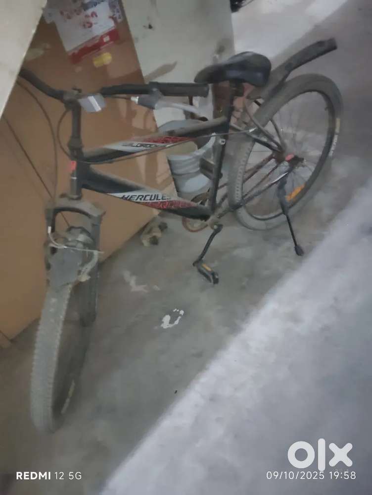 Six months old, good condition