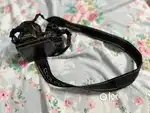 Nikon bridge camera l120