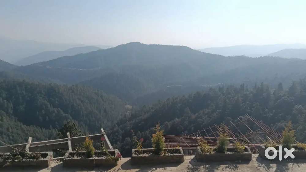 7700 gaj plot ayodhya clu possible  for colony or flats