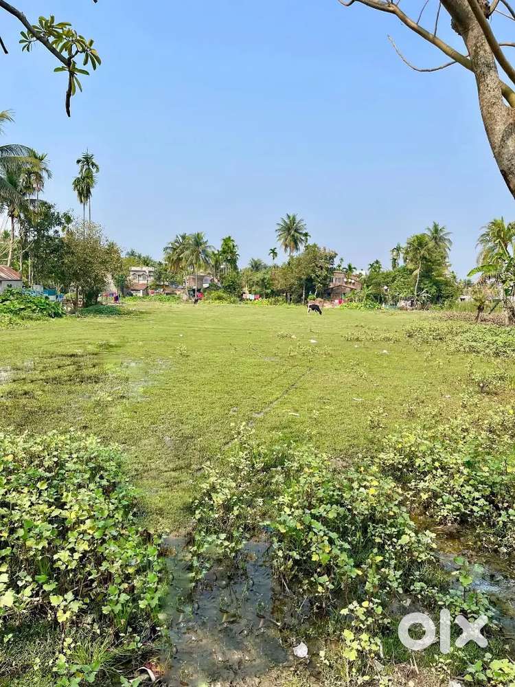 58 Katha Vacant Land(12 Ft road) for sell Malancha, Halisahar-Naihati