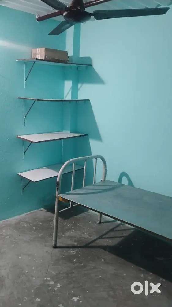 Bachlor boys or girls at low cost