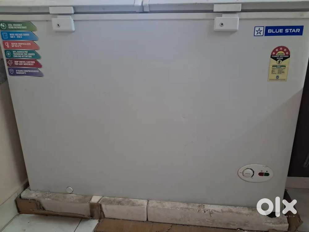 Blue star deep freezer