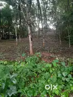 Land for sale.