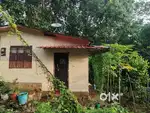 House For Sale 4 Lakh only