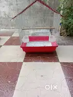 Bird Cage Small