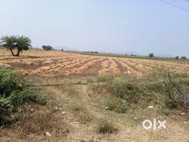 20 acres land for Sale near Kanchikacherla/ORR phase1 AP area