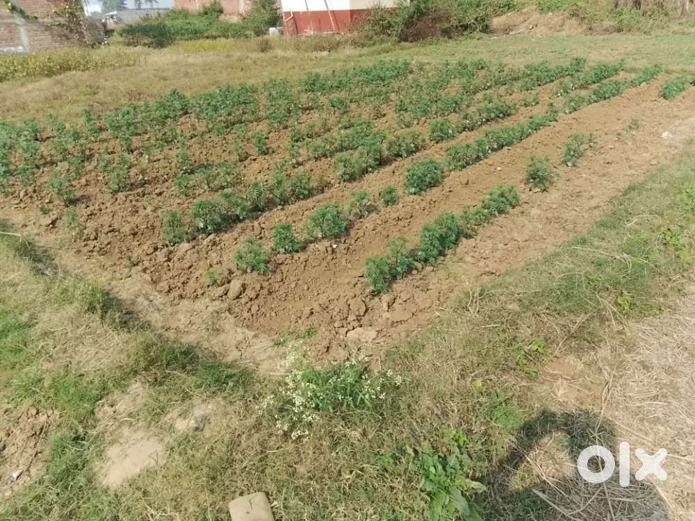 A very good residential plot for sale near aiims